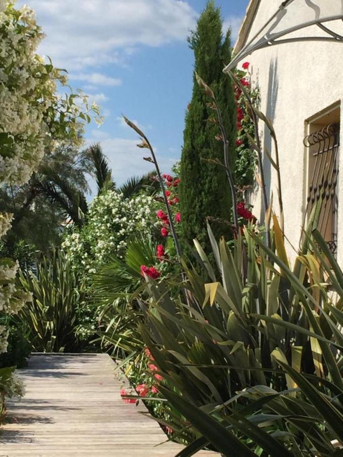 La Villa Vaihere En Camargue, L'Hibiscus Et Le Magnolia 생트마리들라메르 외부 사진