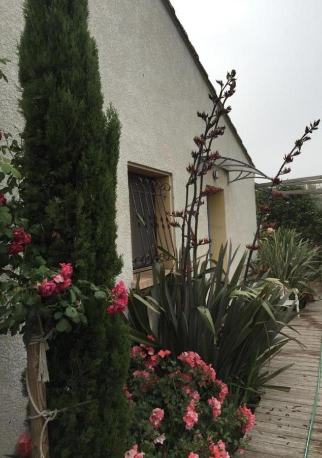 La Villa Vaihere En Camargue, L'Hibiscus Et Le Magnolia 생트마리들라메르 외부 사진
