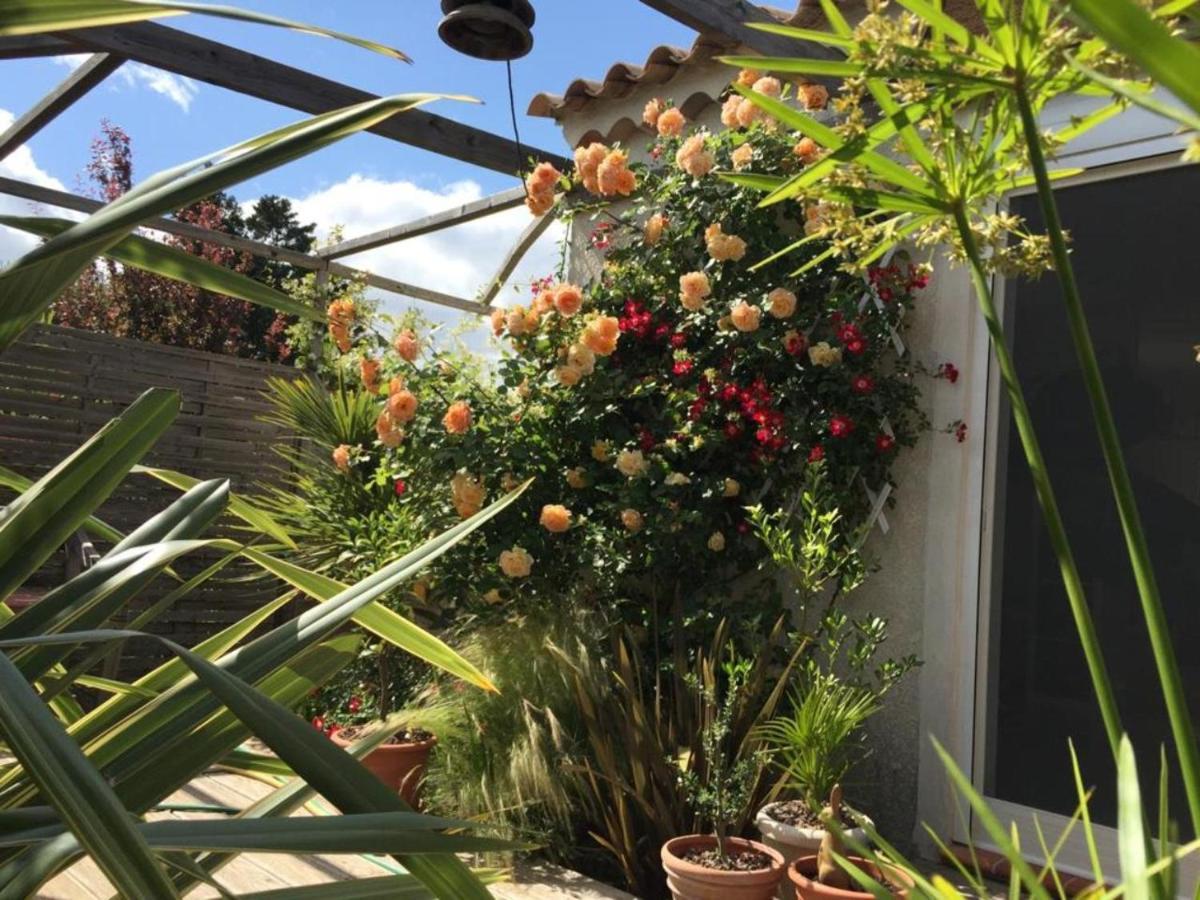 La Villa Vaihere En Camargue, L'Hibiscus Et Le Magnolia 생트마리들라메르 외부 사진